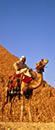 Sharm El Sheikh con auto
